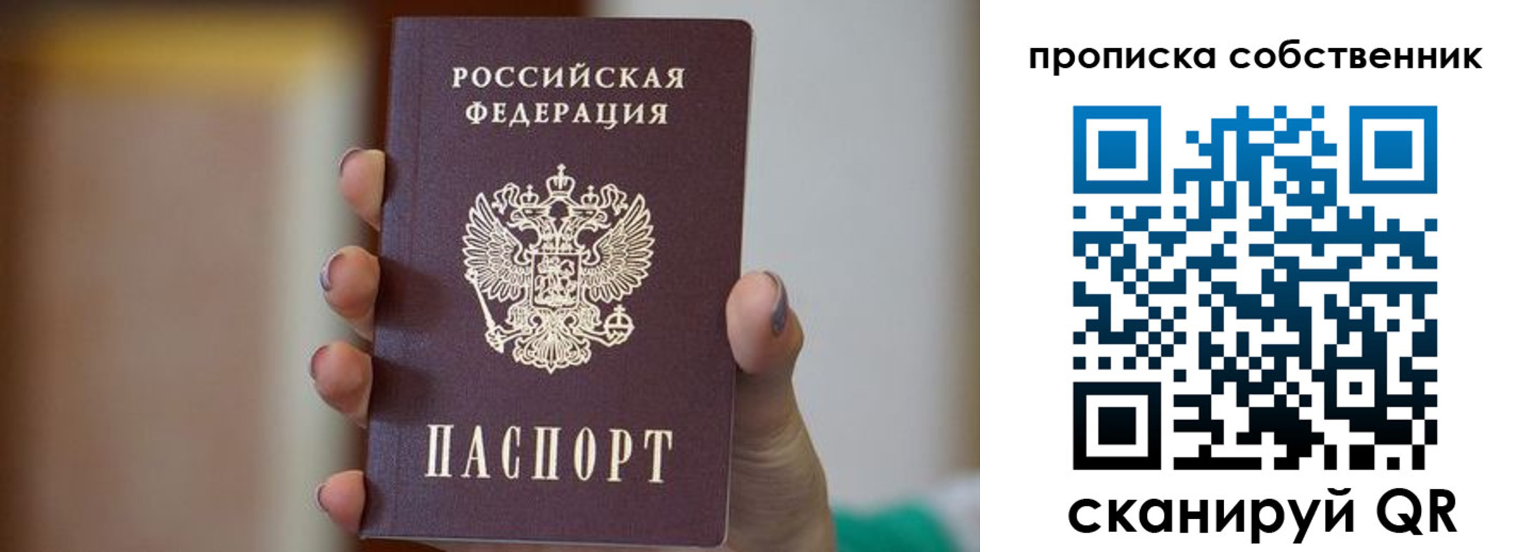 прописка поиск в Александровске